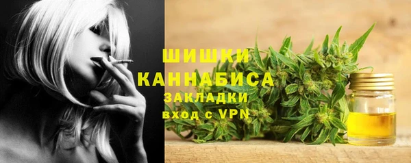 индика Арсеньев