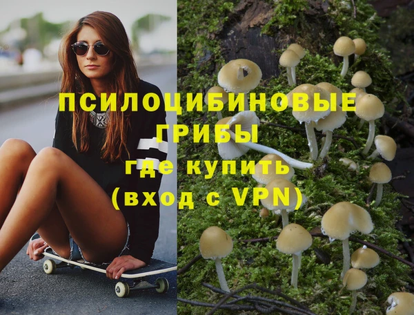 ешки Армянск