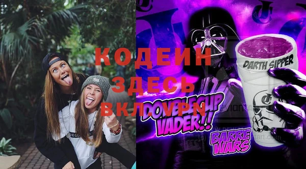 индика Арсеньев
