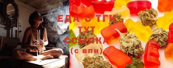 индика Арсеньев