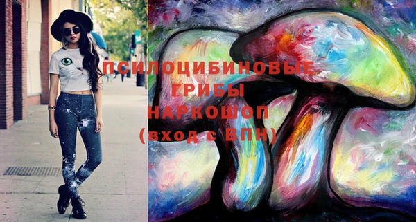 индика Арсеньев